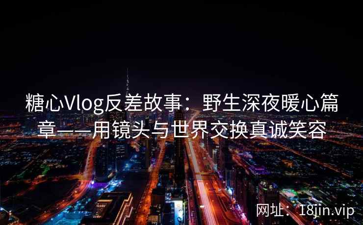糖心Vlog反差故事：野生深夜暖心篇章——用镜头与世界交换真诚笑容