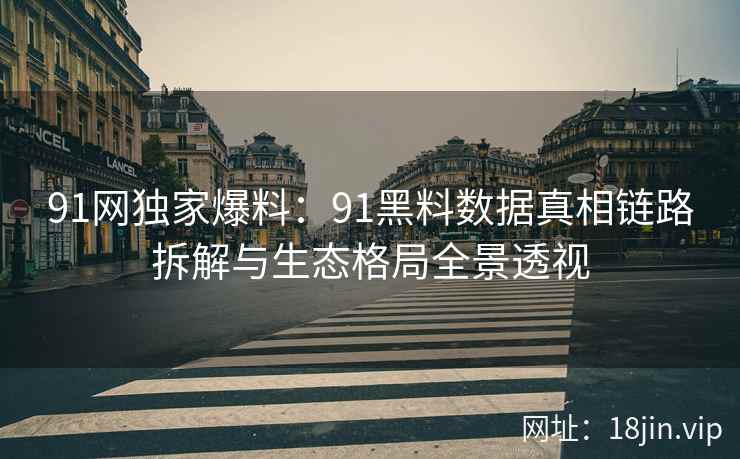 91网独家爆料：91黑料数据真相链路拆解与生态格局全景透视