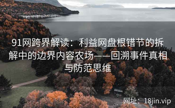 91网跨界解读：利益网盘根错节的拆解中的边界内容农场——回溯事件真相与防范思维