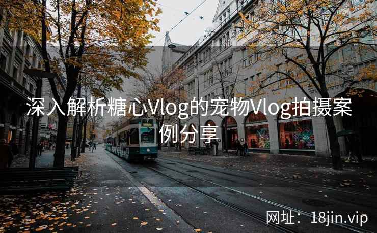 深入解析糖心Vlog的宠物Vlog拍摄案例分享