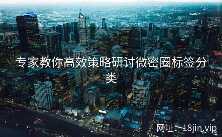 专家教你高效策略研讨微密圈标签分类