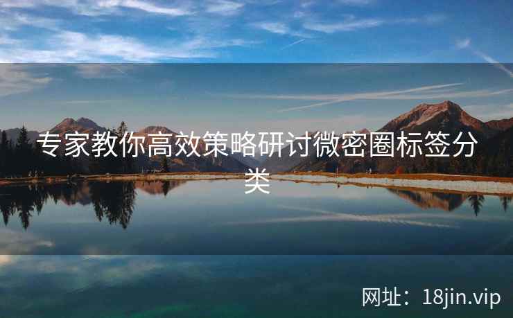 专家教你高效策略研讨微密圈标签分类